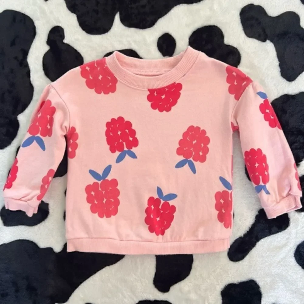 Baby Girl's Carter's 2 piece set Raspberry Sweater‎ and Short Set 6 months